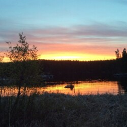 sunset