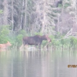hunting and woman river camp