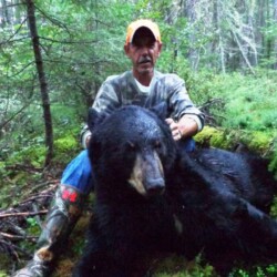 hunting black bear