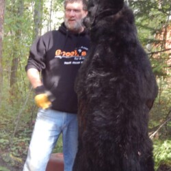 bear hunting