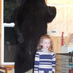 bear hunting