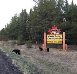 wilderness of woman river camp