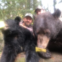 bear hunting