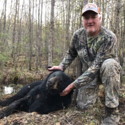 bear hunting