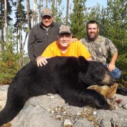 bear hunting