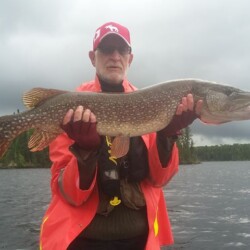 northern pike fishing